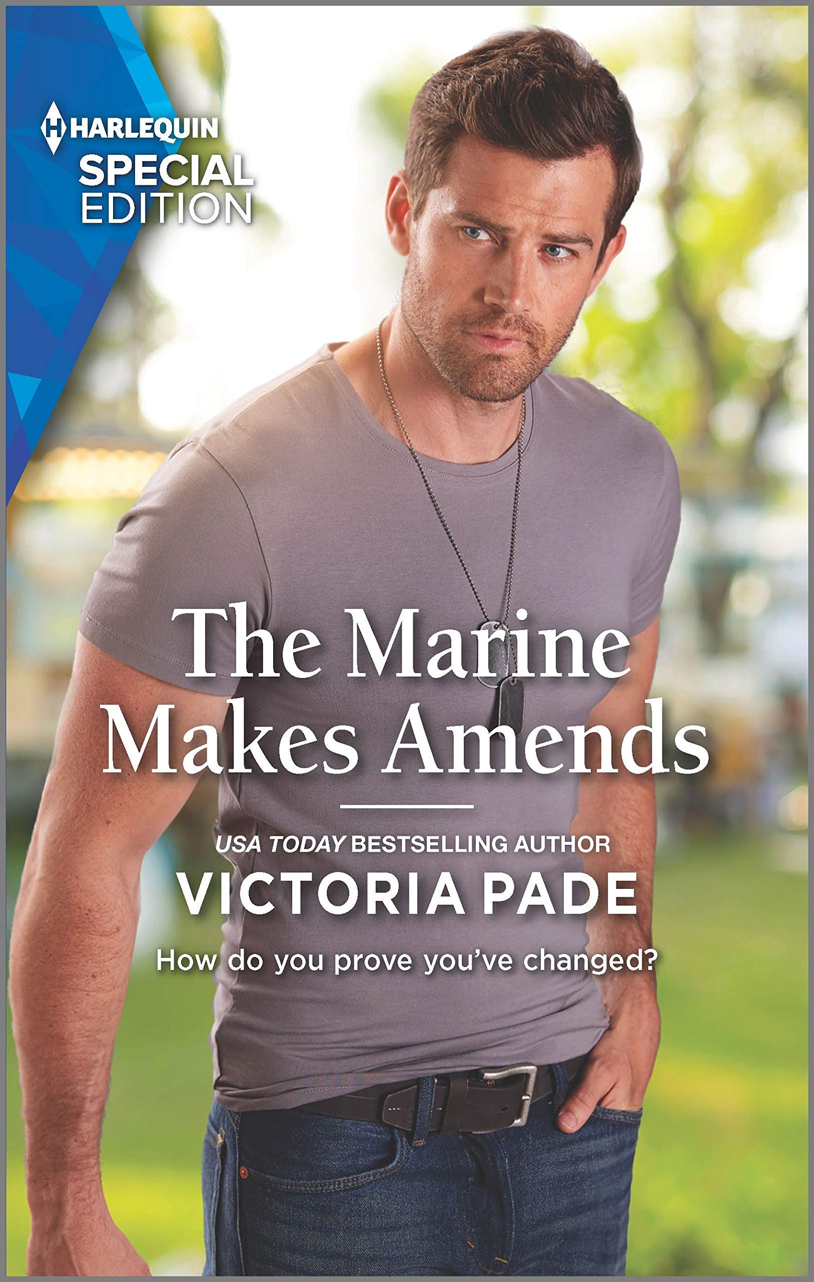 The Camdens of Montana book cover 1