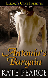 Antonia's Bargain book cover