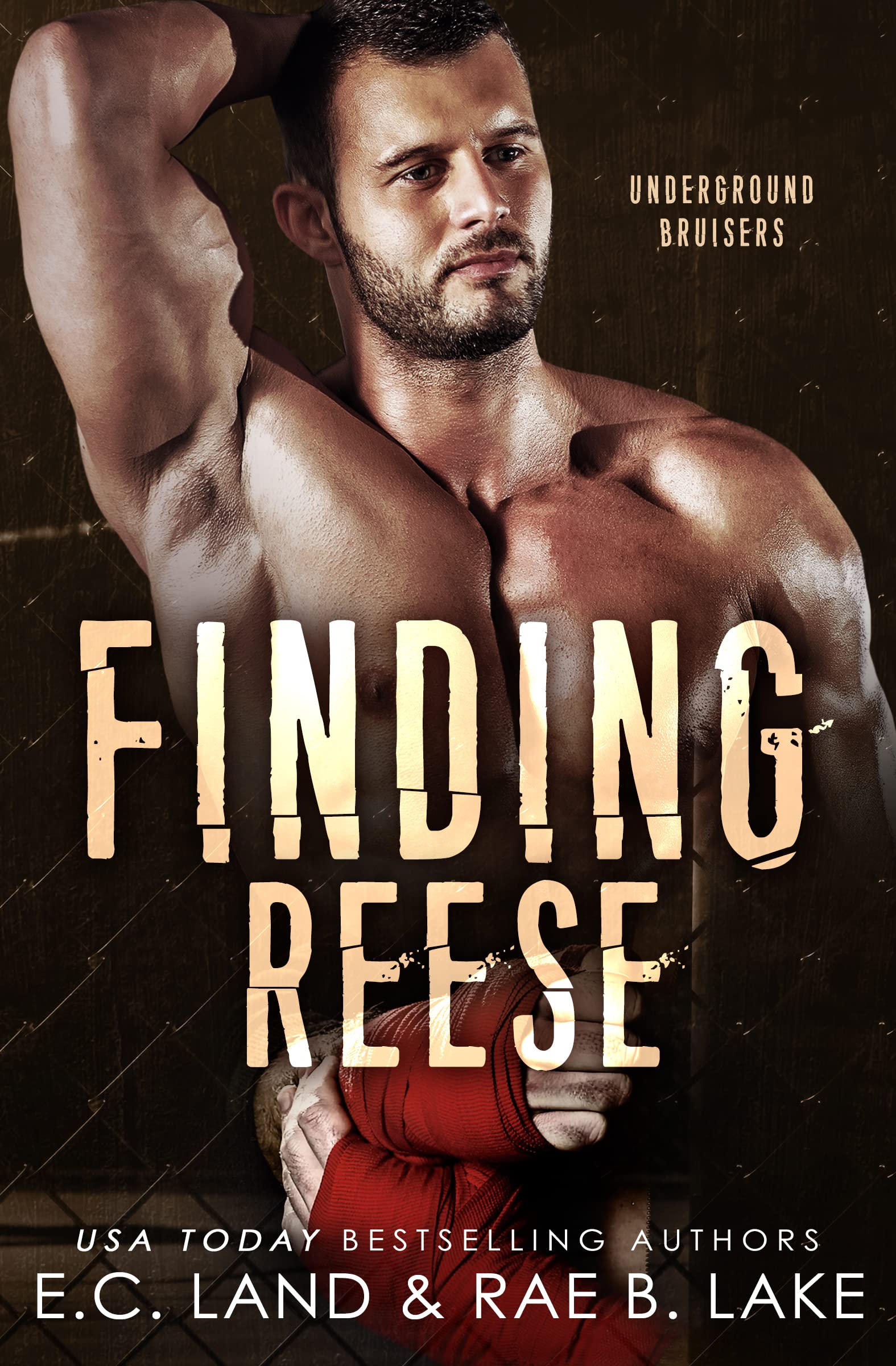 Underground Bruisers book cover 1