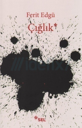 Çığlık book cover