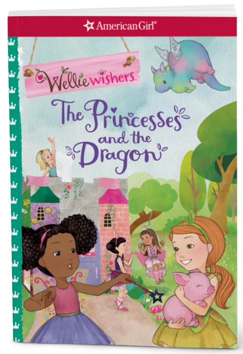The Princesses and the Dragon book cover