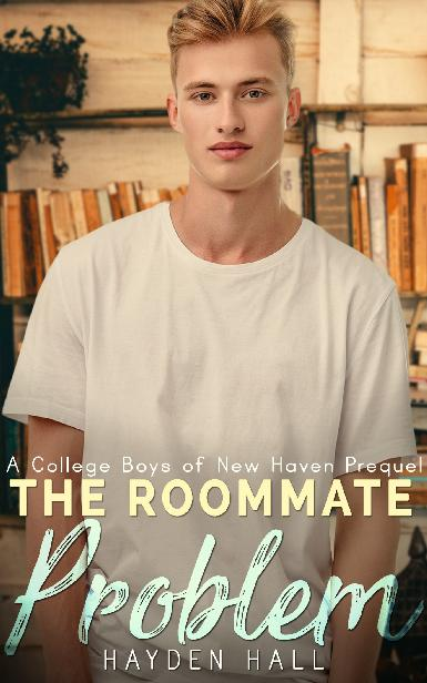 The Roommate Problem book cover