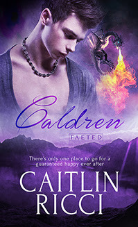 Faeted book cover 3