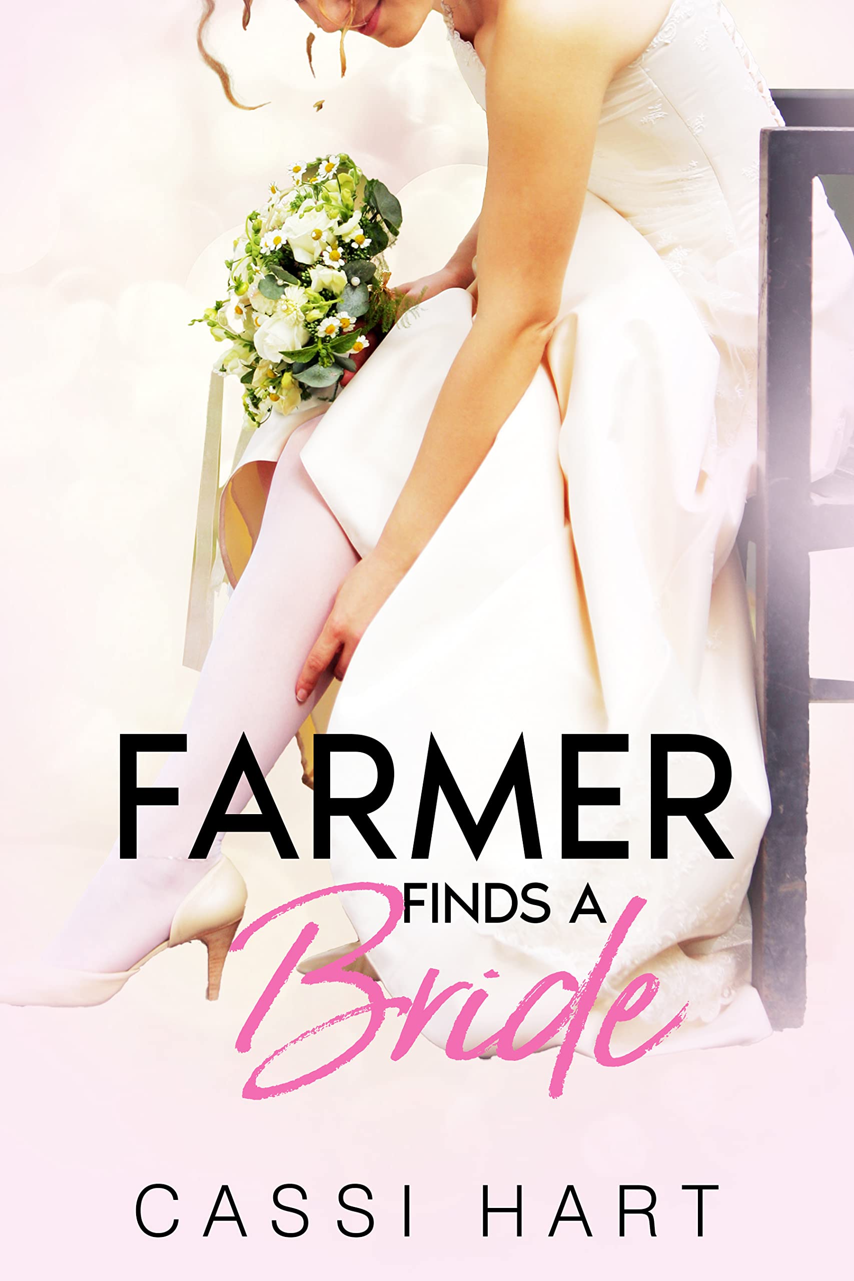 Farmer Finds a Bride book cover