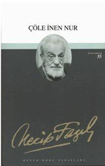 Çöle İnen Nur book cover