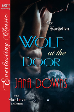 The Forgotten book cover 3