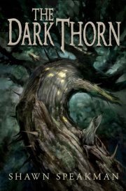 Annwn Cycle book cover 1