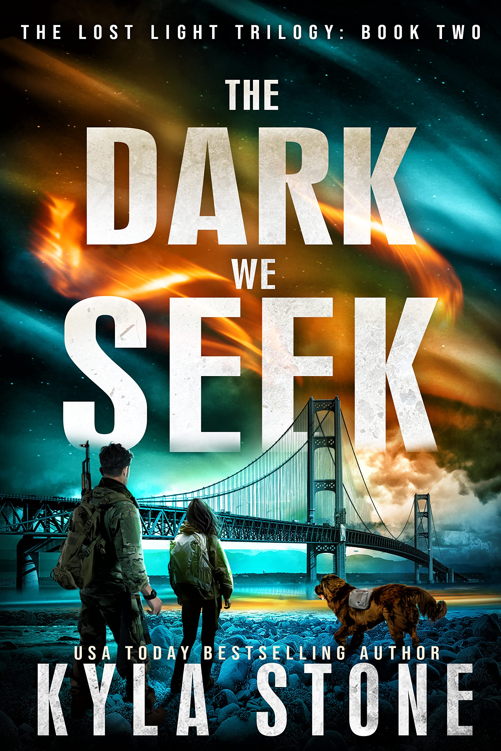 The Dark We Seek book cover