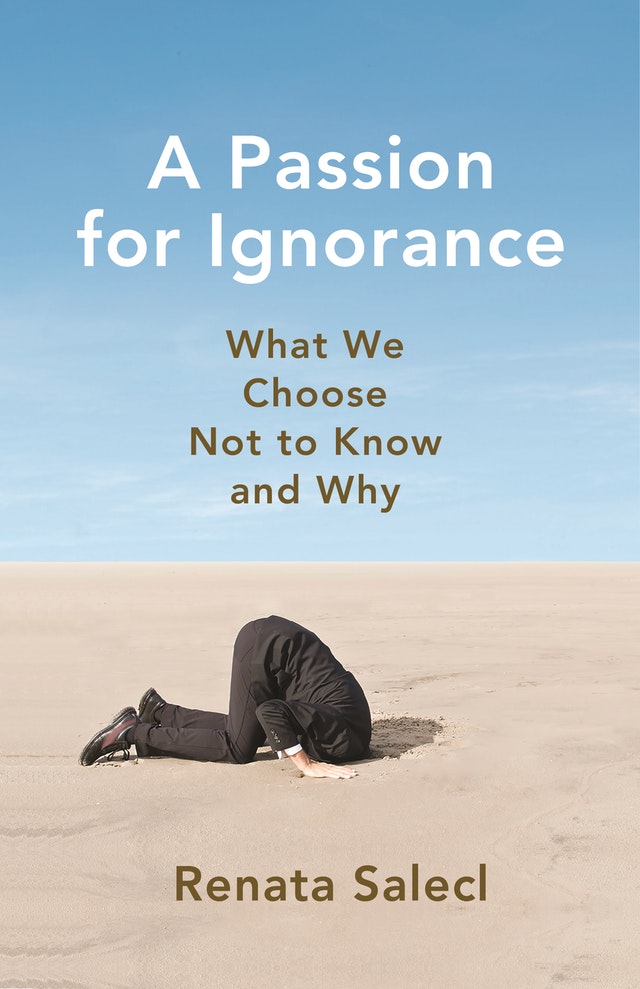 A Passion for Ignorance book cover