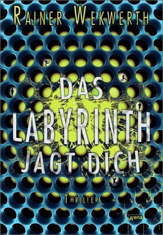 Labyrinth book cover 2