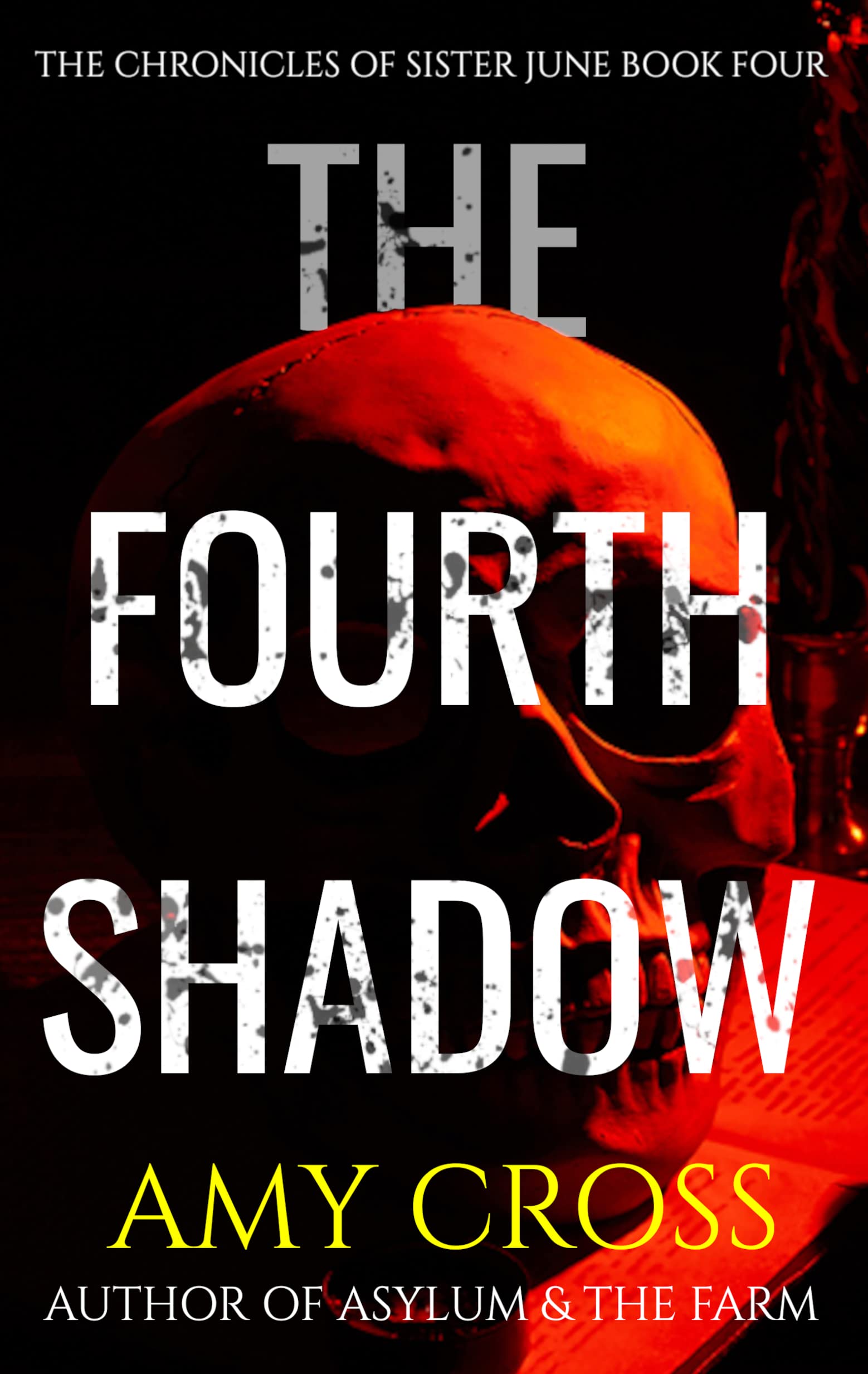 The Fourth Shadow book cover