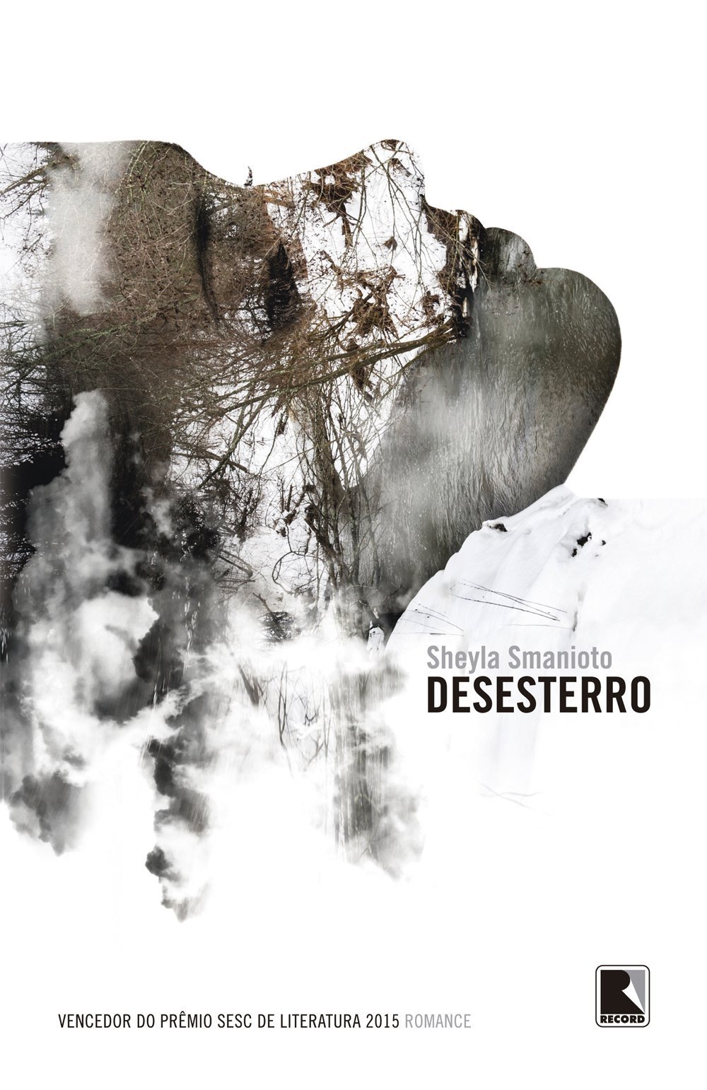 Desesterro book cover
