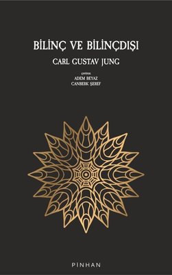Consciousness and the Unconscious book cover