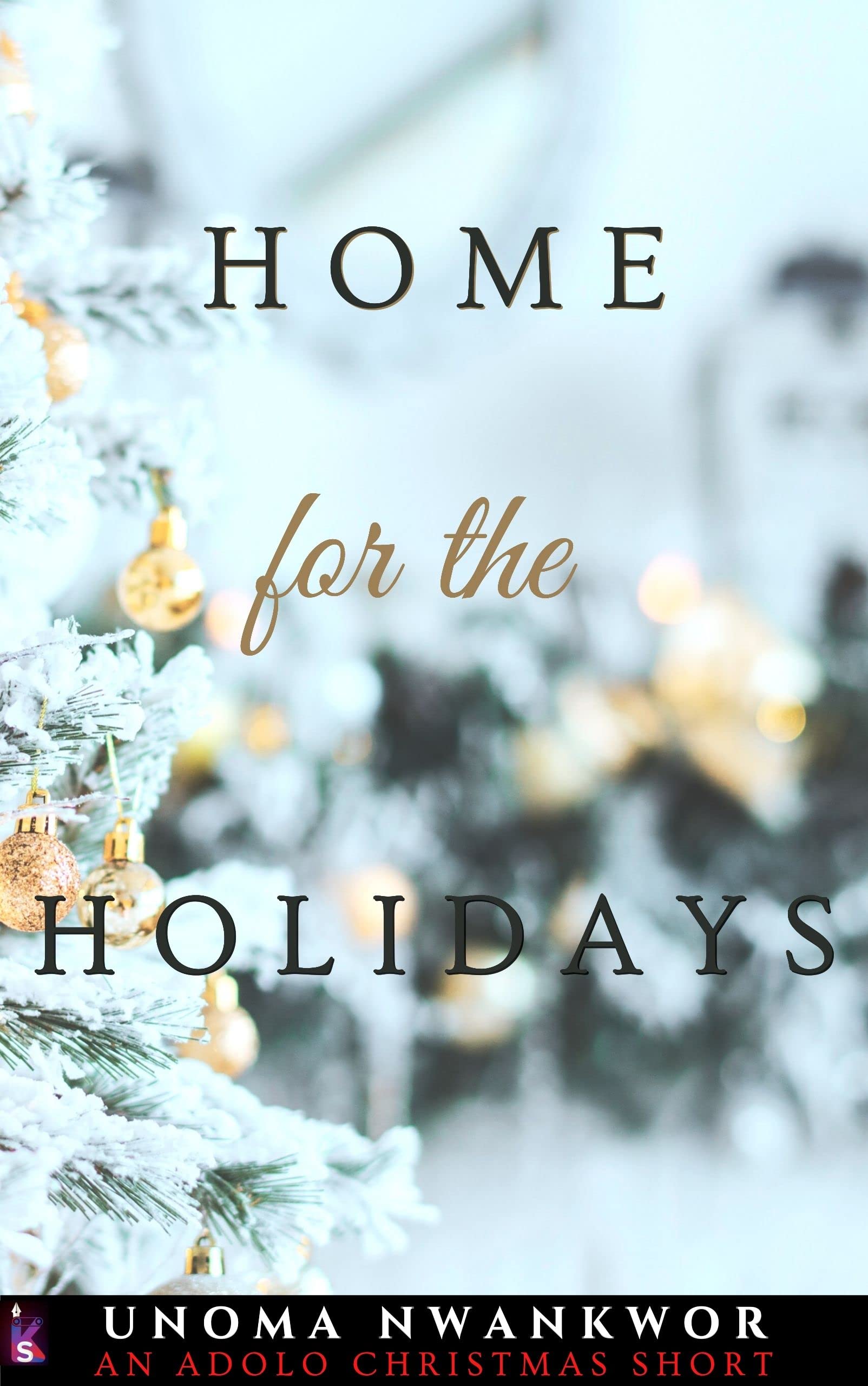 Home for the Holidays book cover
