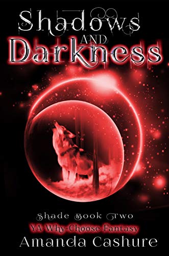 Shadows and Shade book cover 2