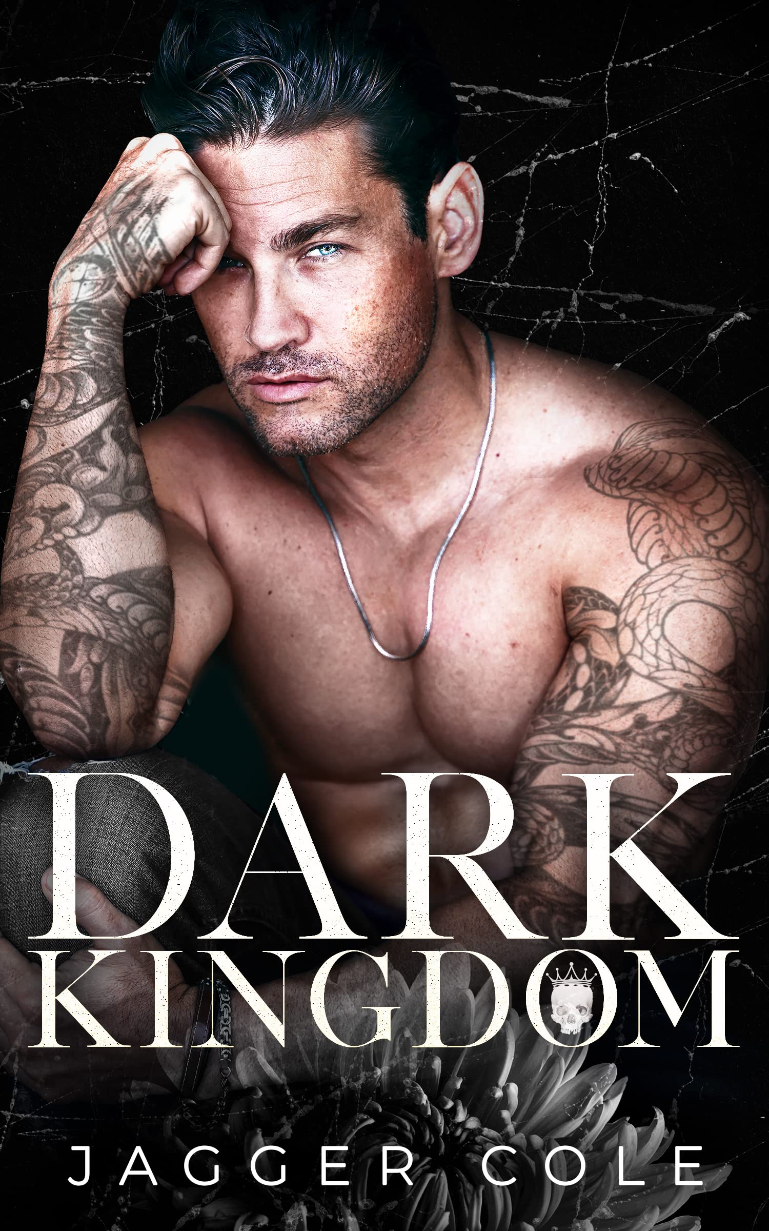 Kings & Villains book cover 1