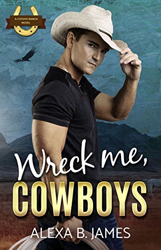 Wreck Me, Cowboys book cover