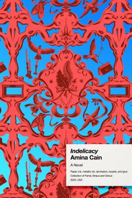 Indelicacy book cover