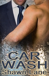 Car Wash book cover 1