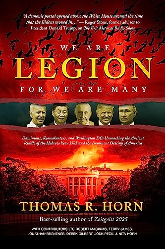 We Are Legion for We Are Many book cover