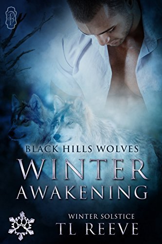 Winter Awakening book cover