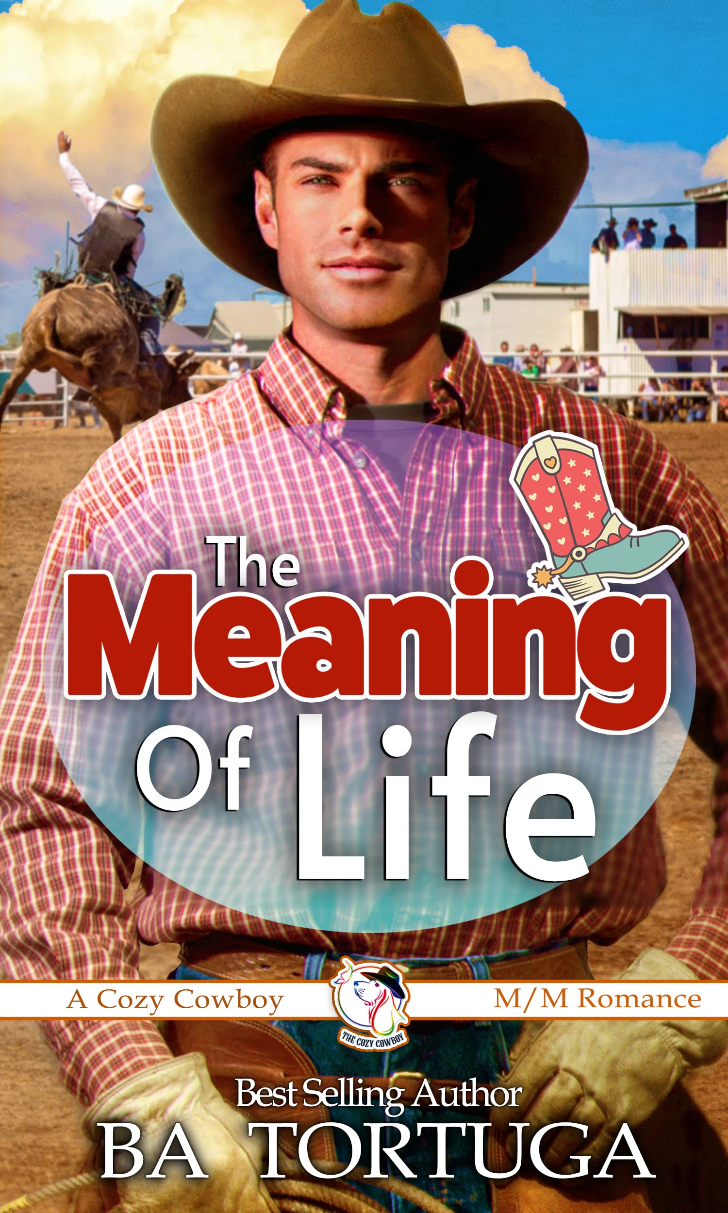 The Meaning of Life book cover