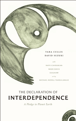 The Declaration of Interdependence book cover