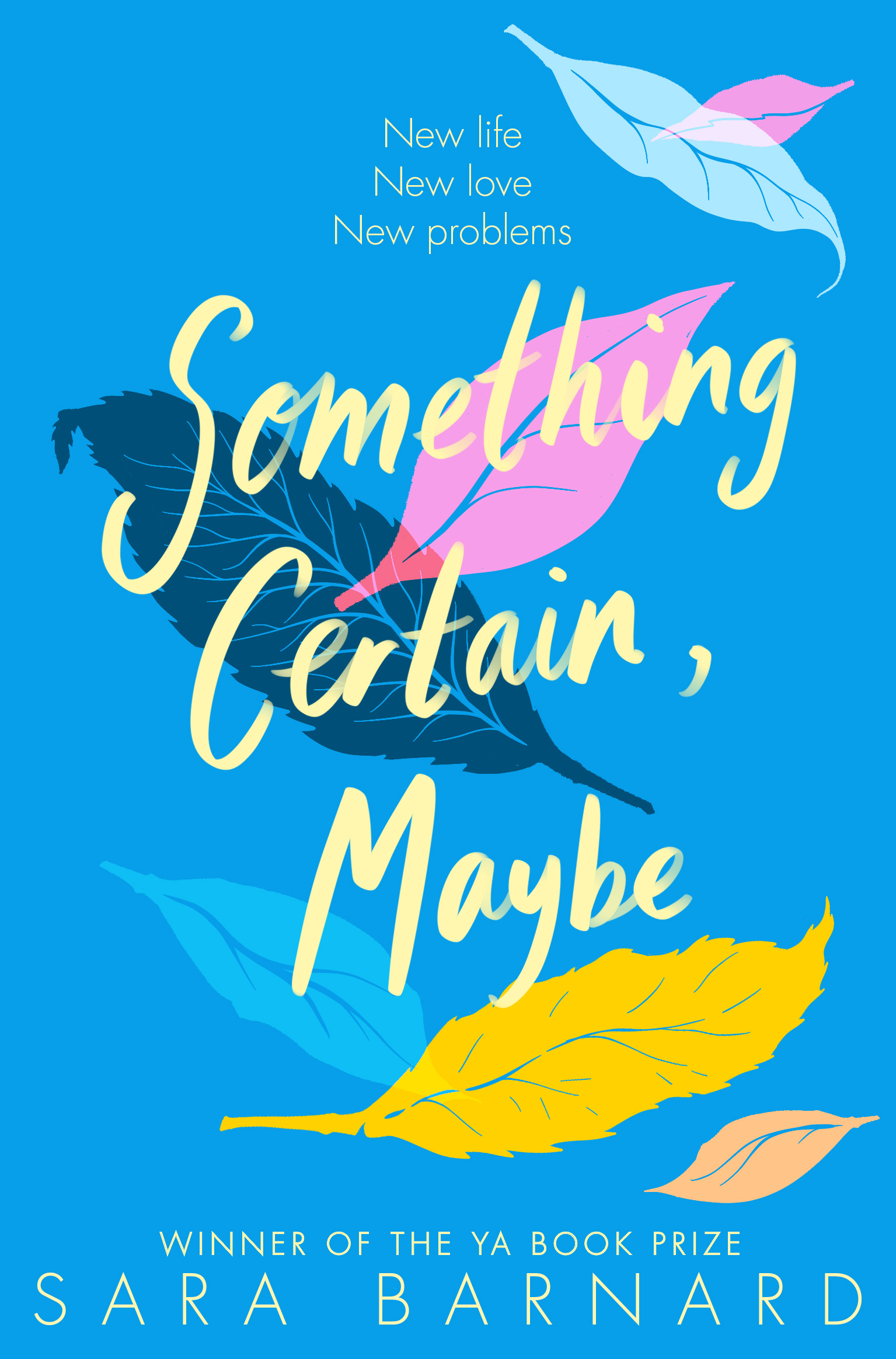 Something Certain, Maybe book cover