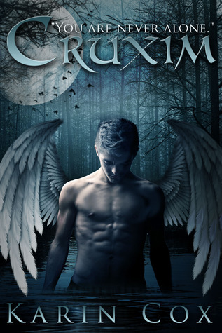 Fallen Angel/Vampire book cover 1
