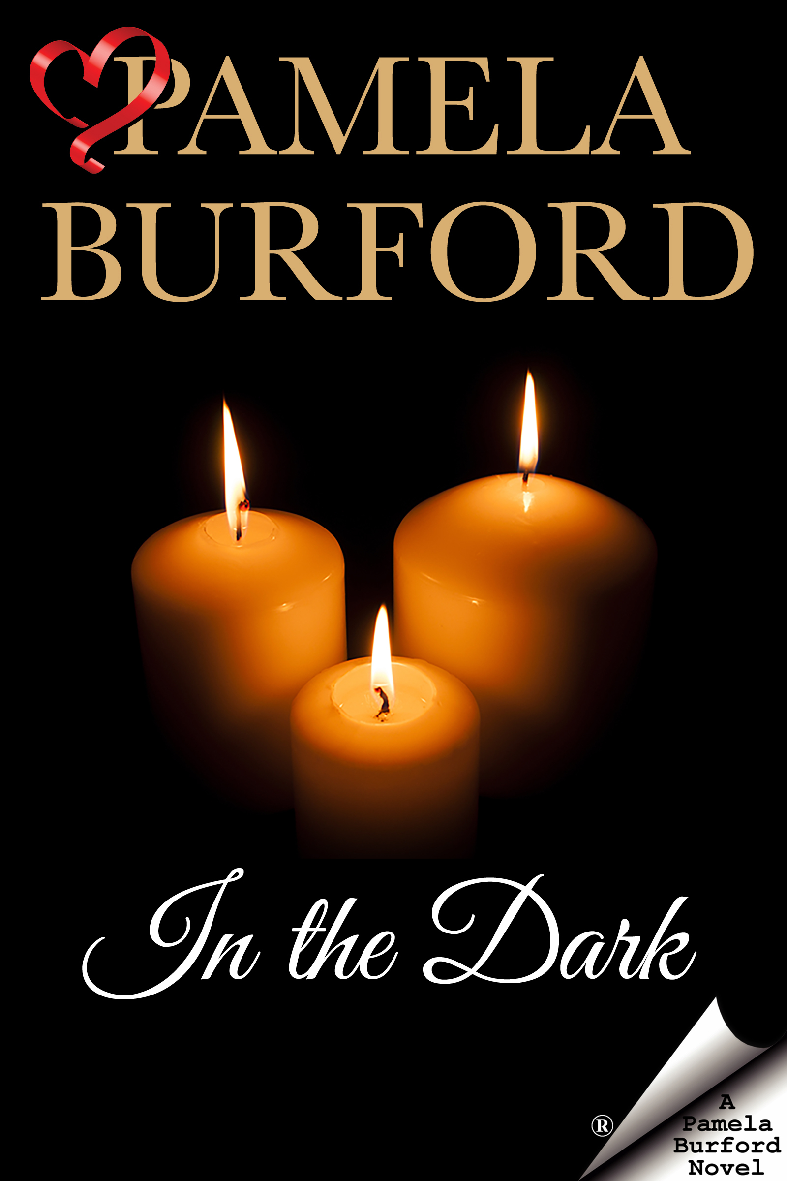 In the Dark book cover