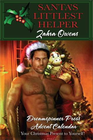 Santa's Littlest Helper book cover