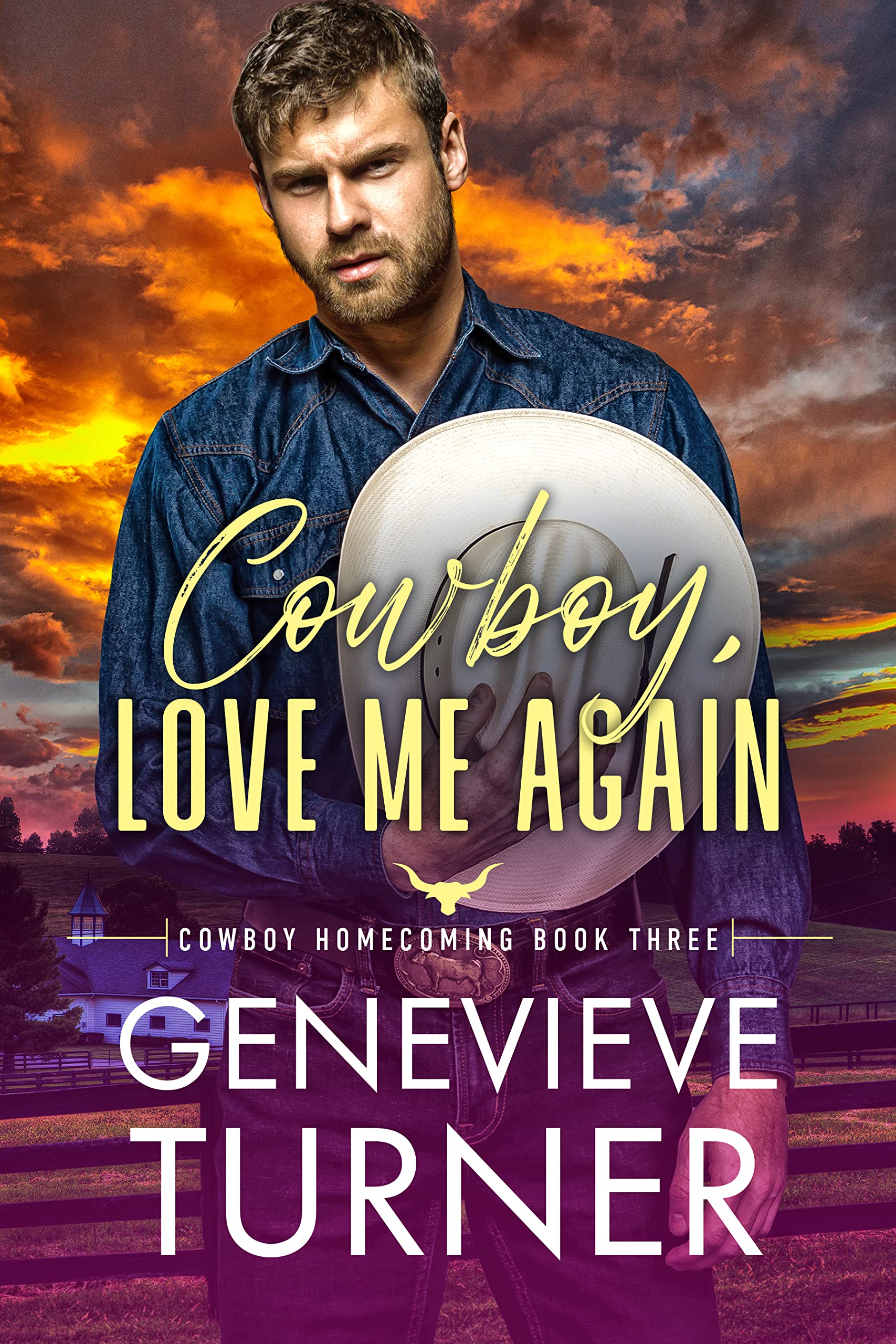 Cowboy Homecoming book cover 3