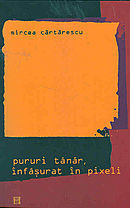 Pururi tanar, infasurat in pixeli book cover