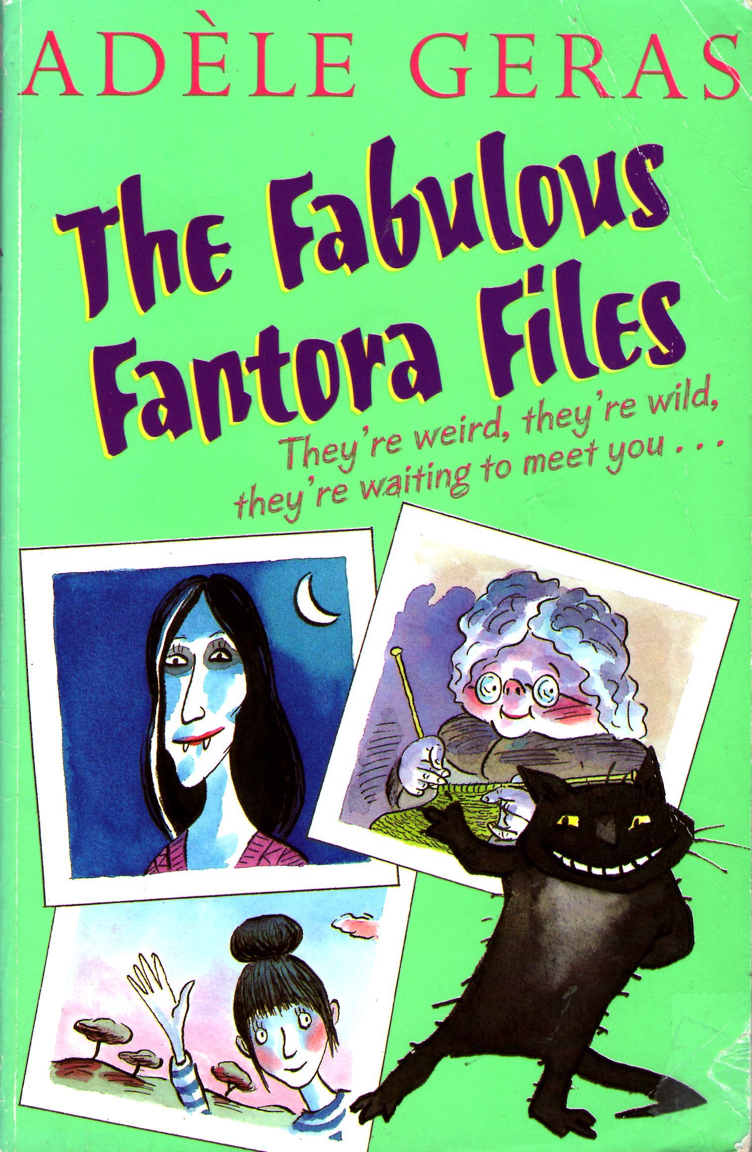 Family Files book cover