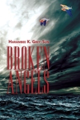 Eve of Light book cover 1