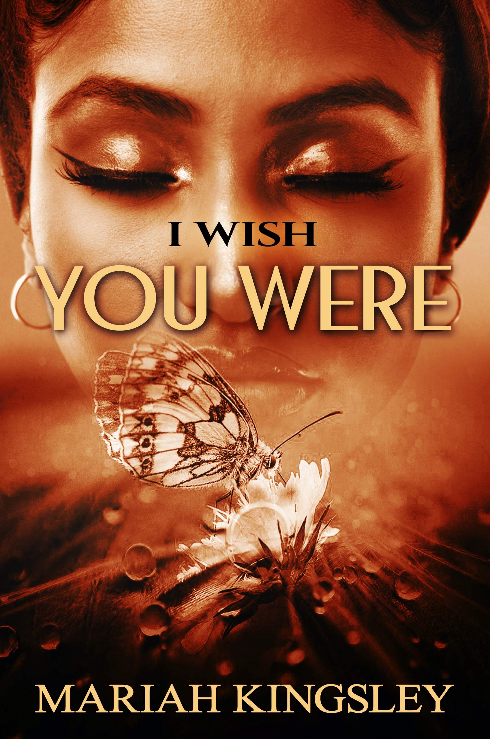 I Wish You Were book cover