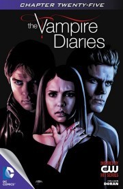The Vampire Diaries #25 book cover