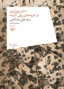 دختر ویولون زن در کوچههای برفی آذرماه book cover
