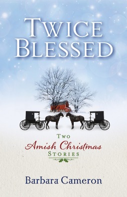 Twice Blessed book cover