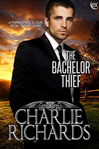 The Bachelor Thief book cover