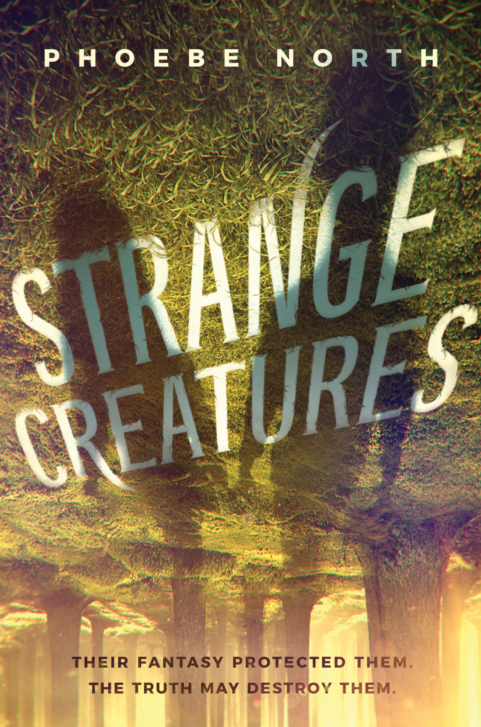 Strange Creatures book cover