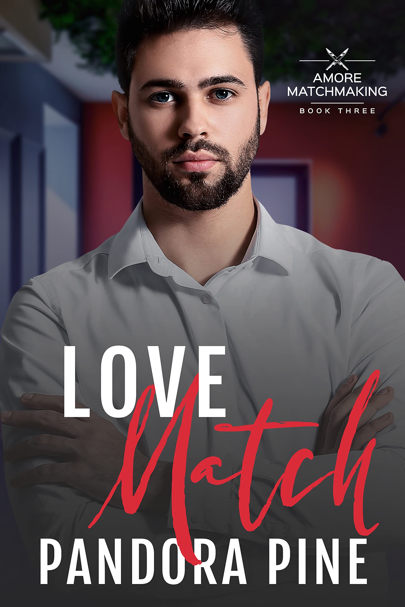 Amore Matchmaking book cover 3