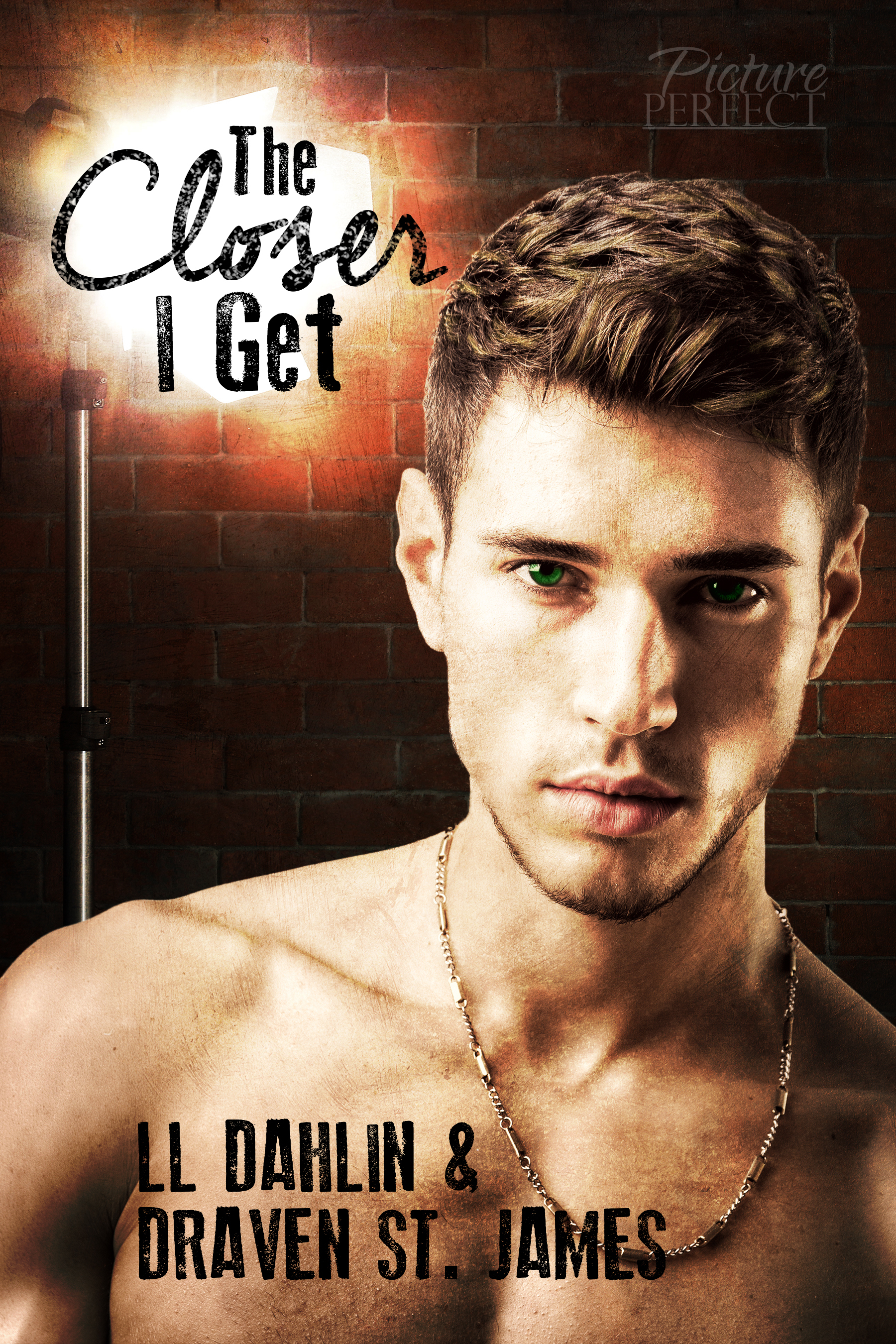 Picture Perfect book cover 1