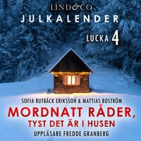Mordnatt råder: tyst det är i husen book cover 3