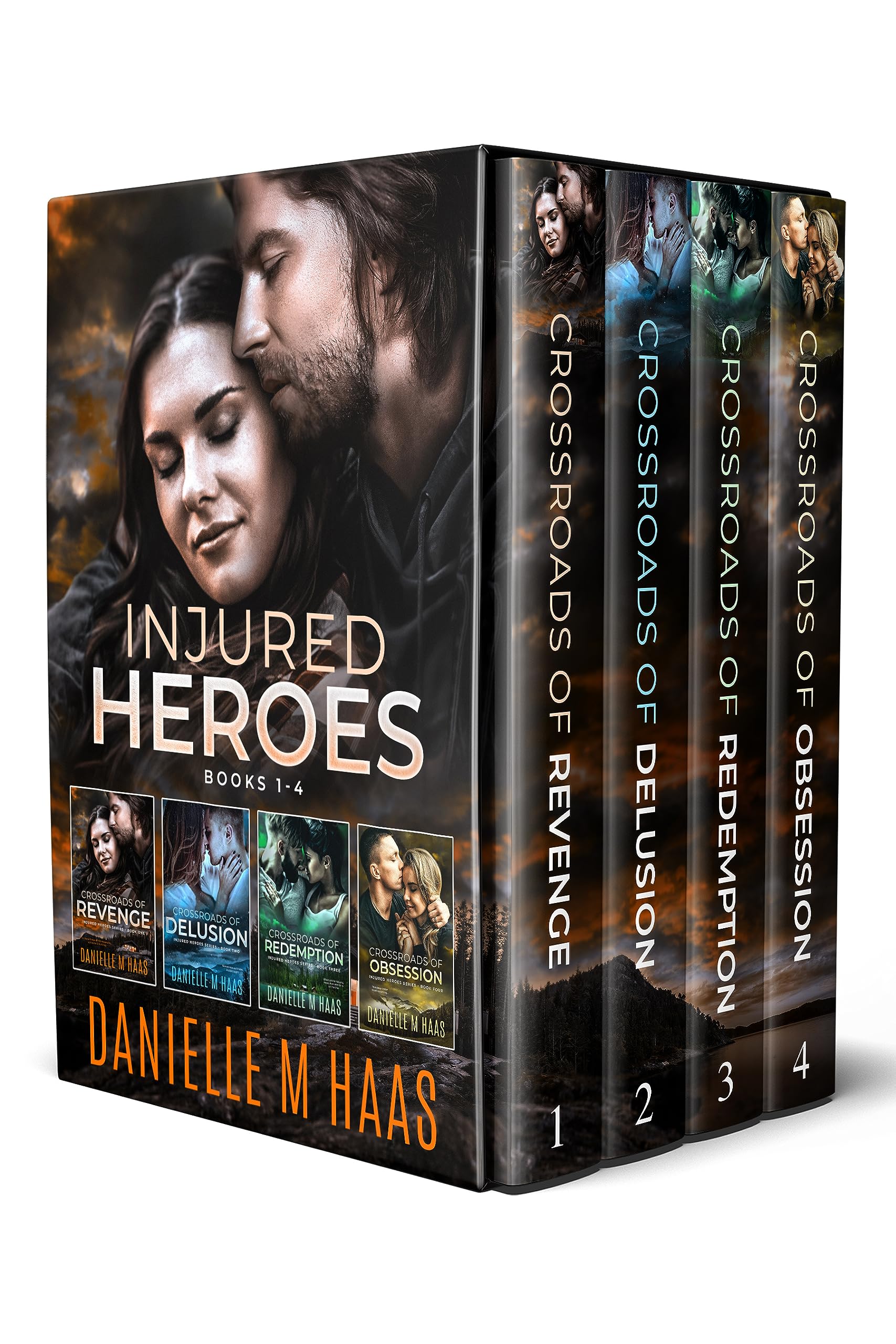 Injured Heroes book cover