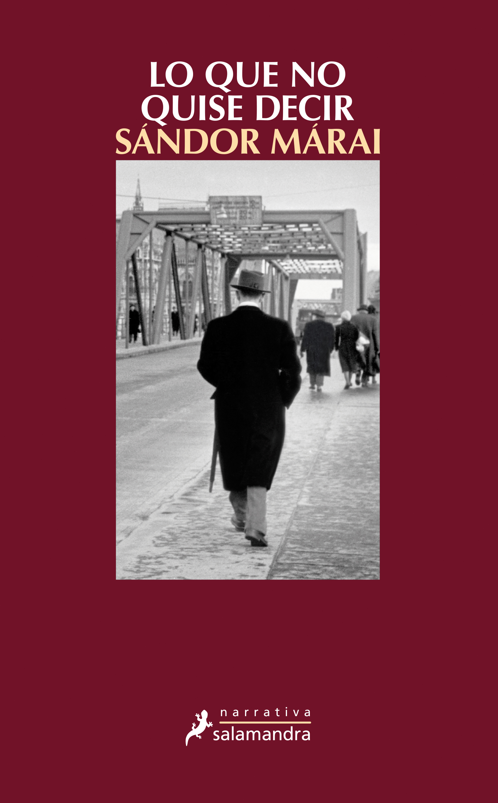 Lo que no quise decir book cover