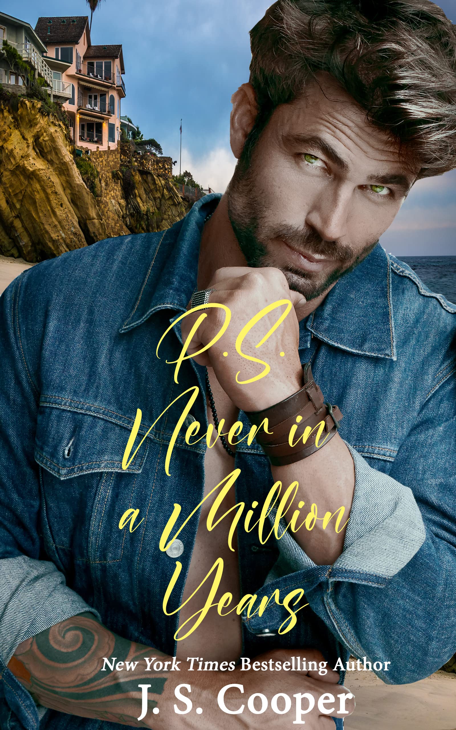 P.S. Never in a Million Years book cover