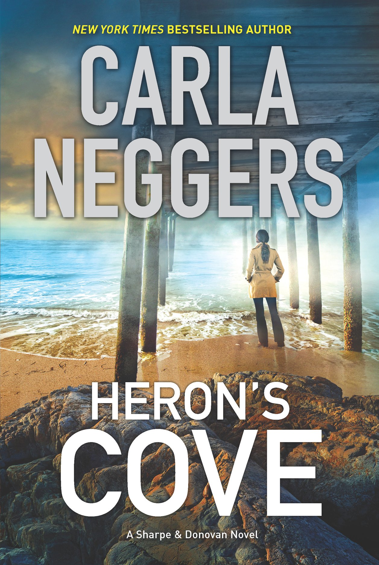 Sharpe & Donovan book cover 2