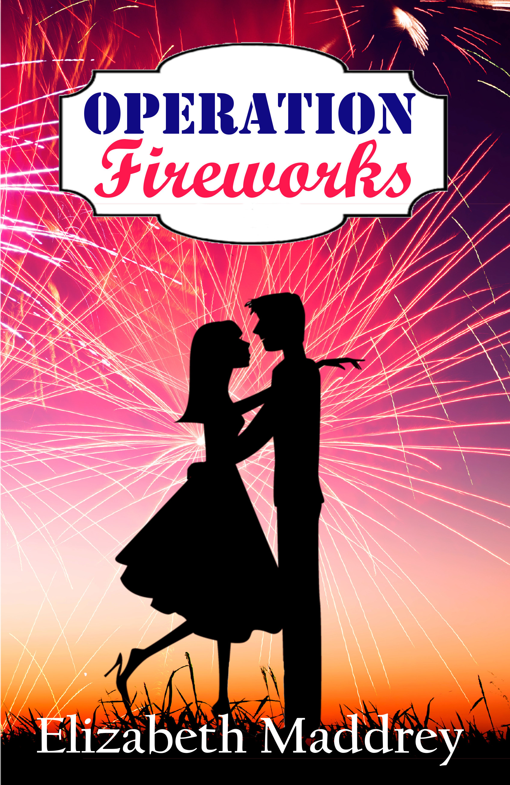 Operation Romance book cover 3