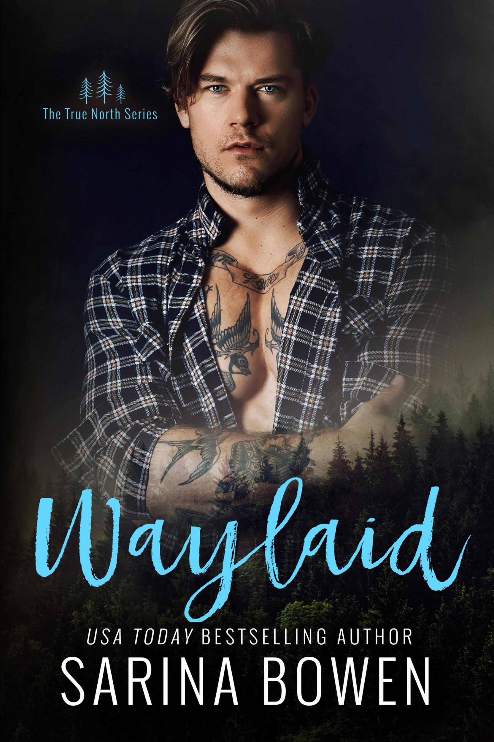 Waylaid book cover